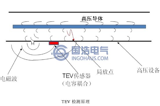 TEV檢測原（yuán）理