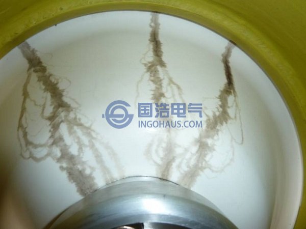 220kVGIS設備(bèi)間隔耐壓閃絡故障絕(jué)緣子爬閃痕跡示意圖
