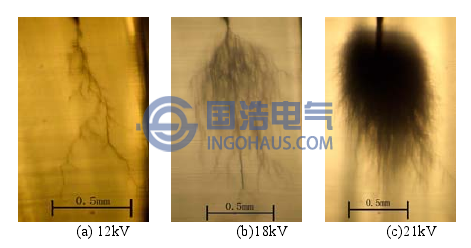 不同形(xíng)態的電樹枝