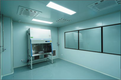 潔淨（jìng）窗應用案例